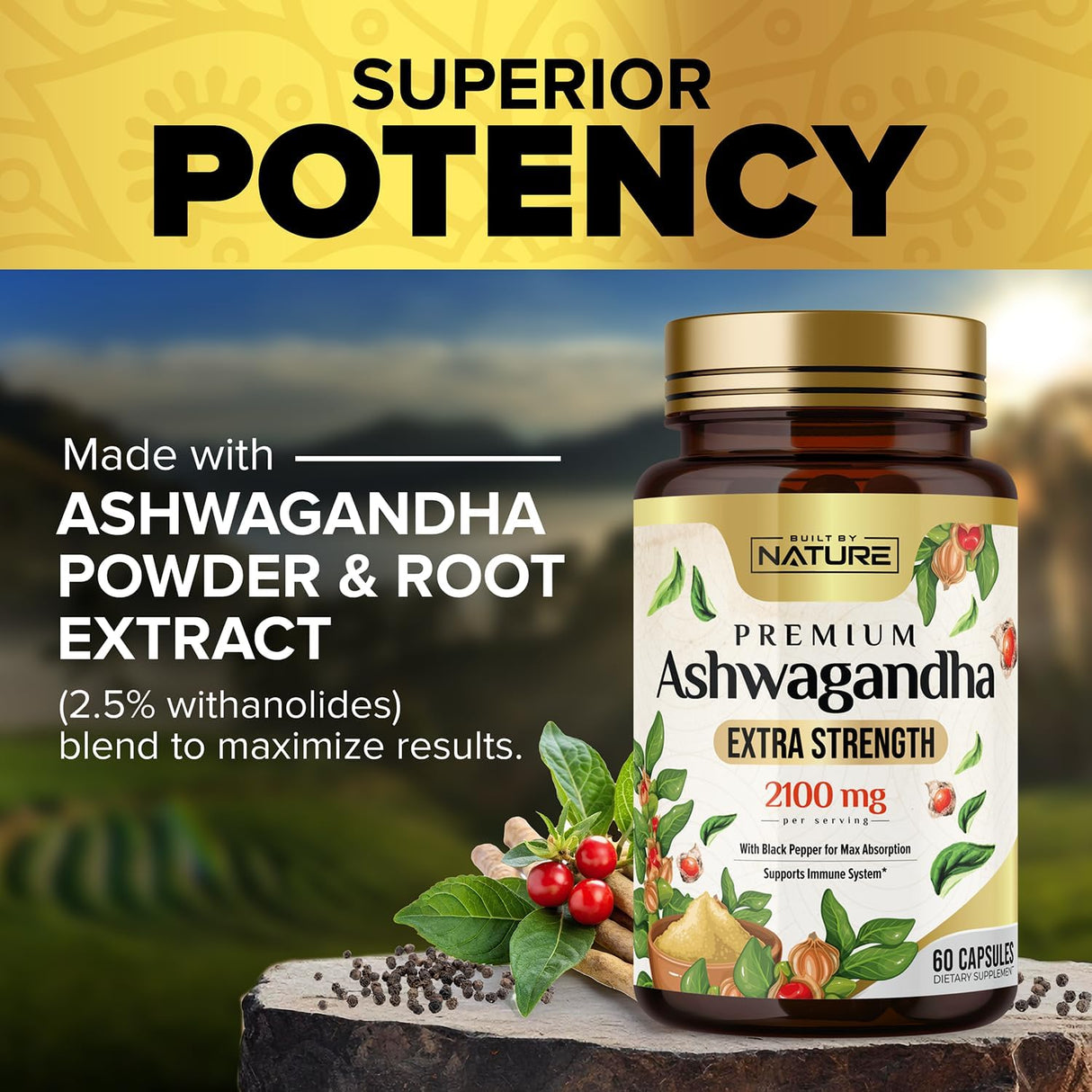Suplemento de Ashwagandha 2100mg - Built by Nature - 60 cápsulas