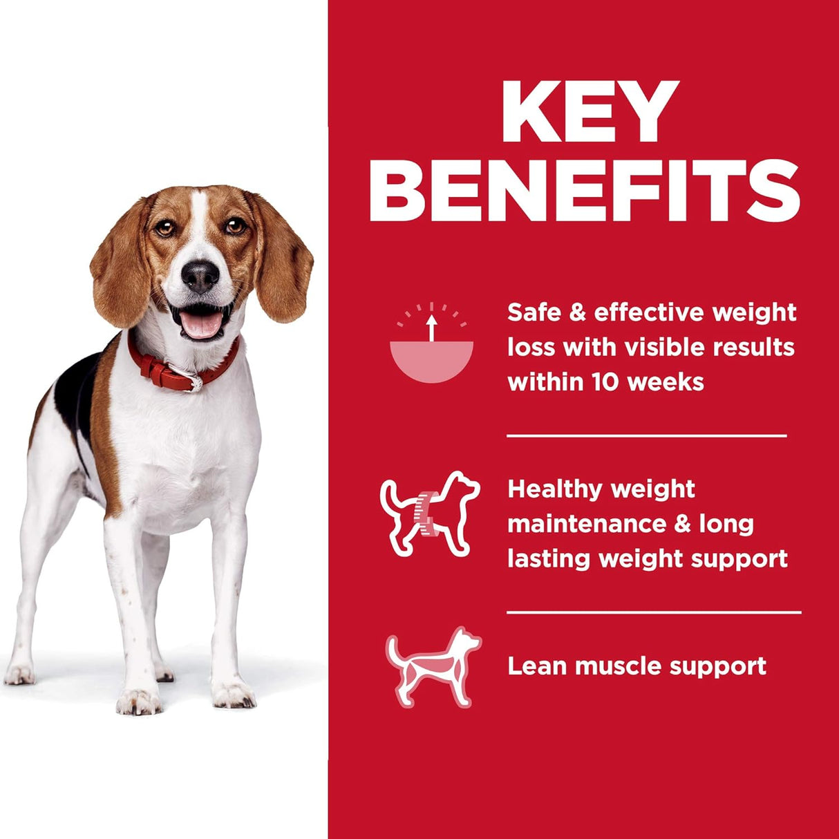 Alimento para Perros perfecto para adultos de pollo bolsa