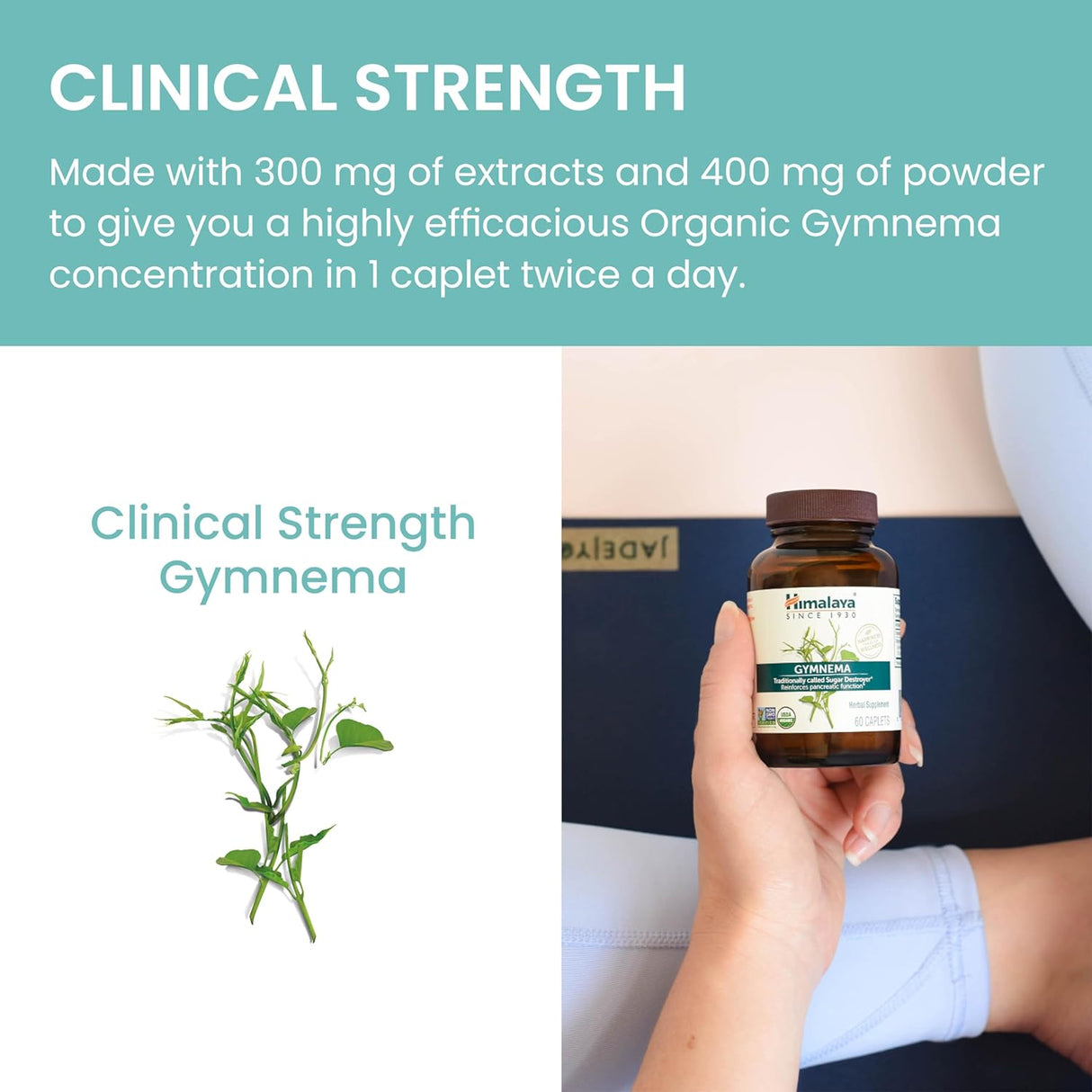 Cápsulas Orgánicas de Gymnema Sylvestre 700 mg Pack 2 Meses