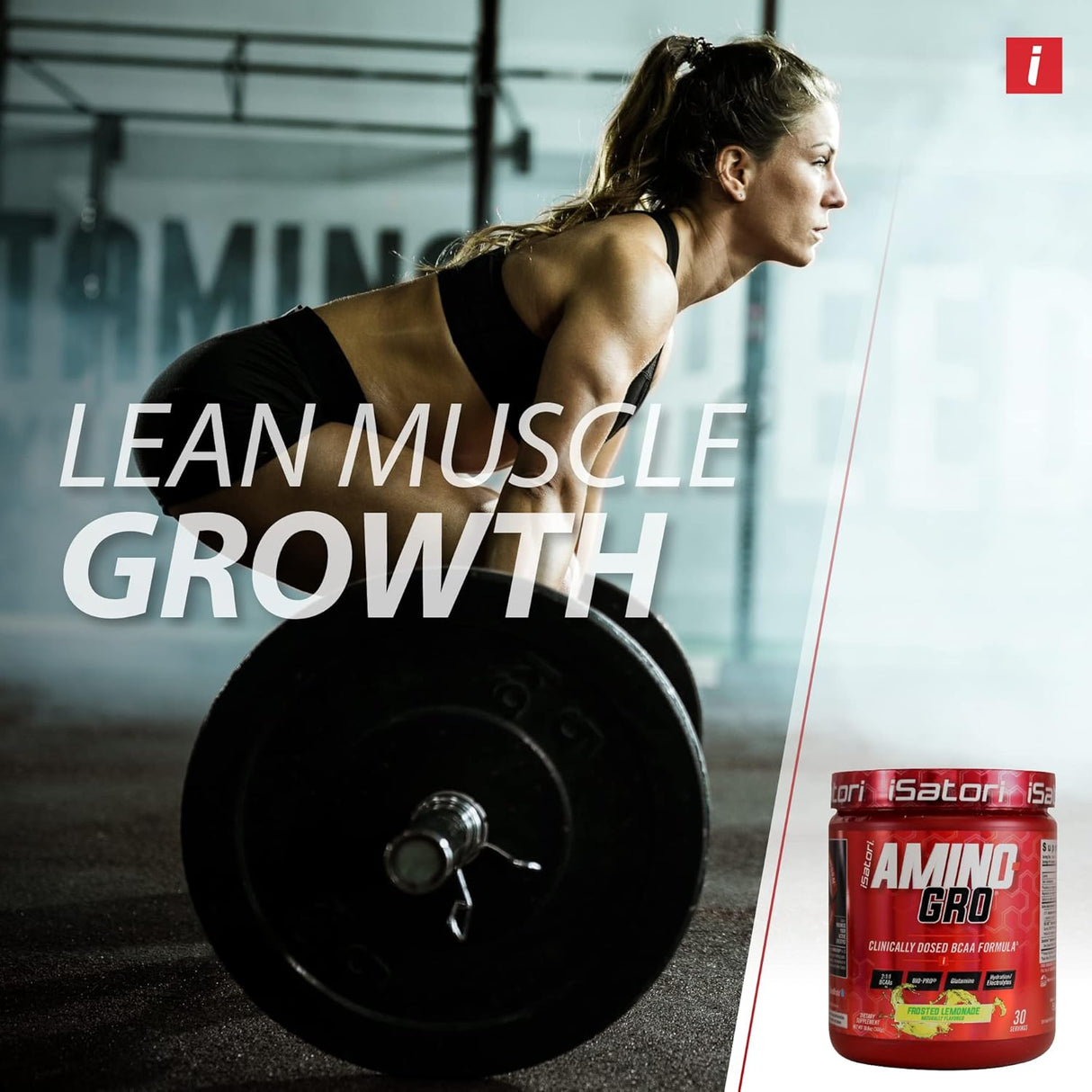 Suplemento aminoácidos iSatori Amino-GRO BCAA 30Serv