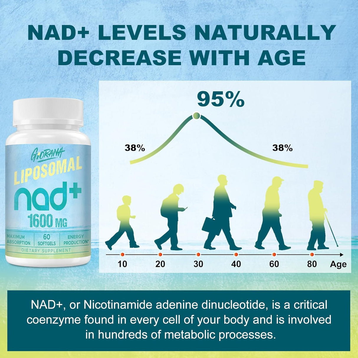Suplemento liposomal NAD de 1600 mg potenciador de NAD