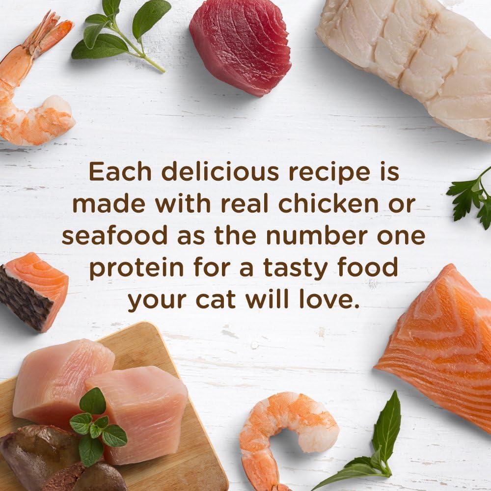 Comida Húmeda para Gatos Nutrish, Rachael Ray, Sin Granos, 12 Pzs