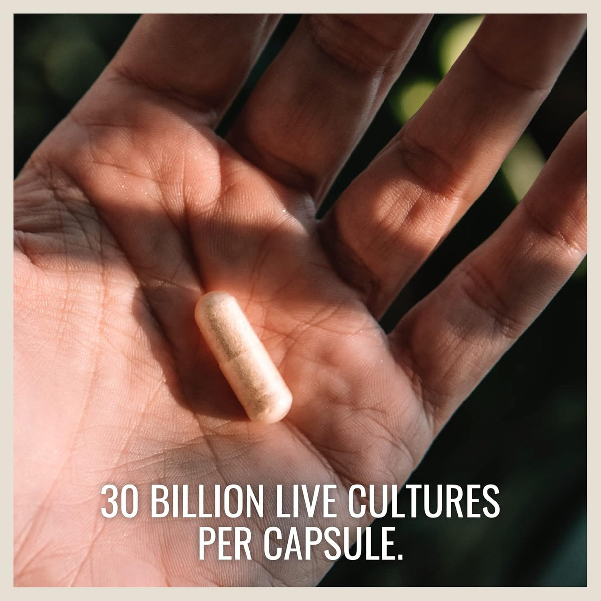 Suplementos Alimenticios apoyo para la salud prebiótico