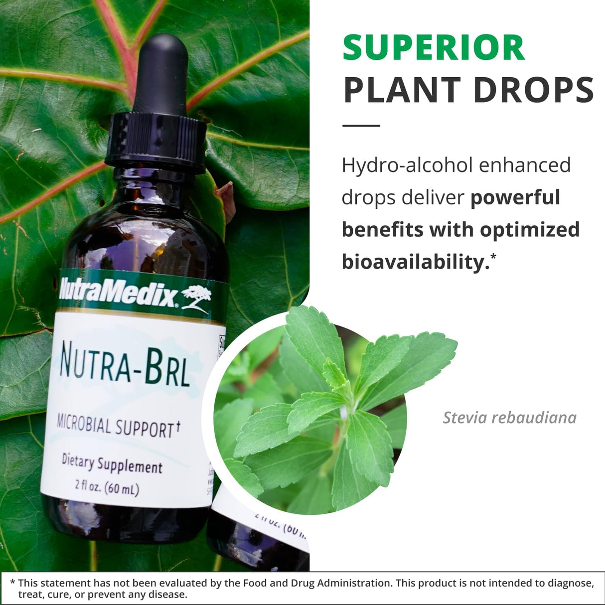 Suplemento de soporte inmunológico con Samento, Stevia y Banderilla