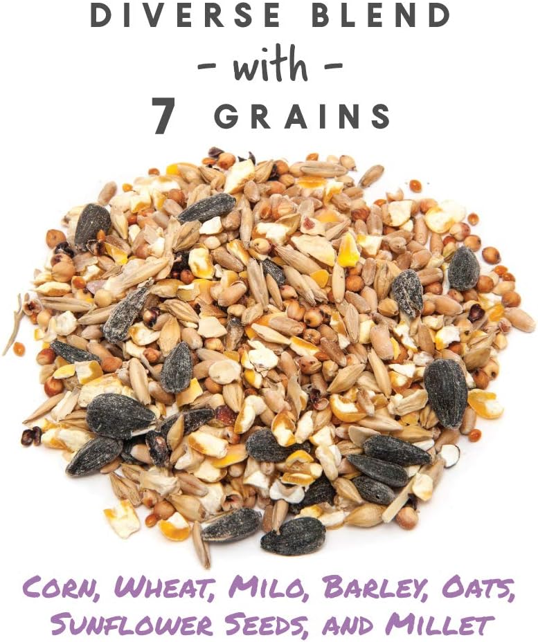 Alimento de grano para arañazos para pollos y otras aves