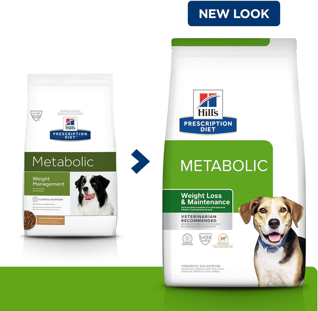 Alimento para Perros seco con fórmula de cordero y arroz