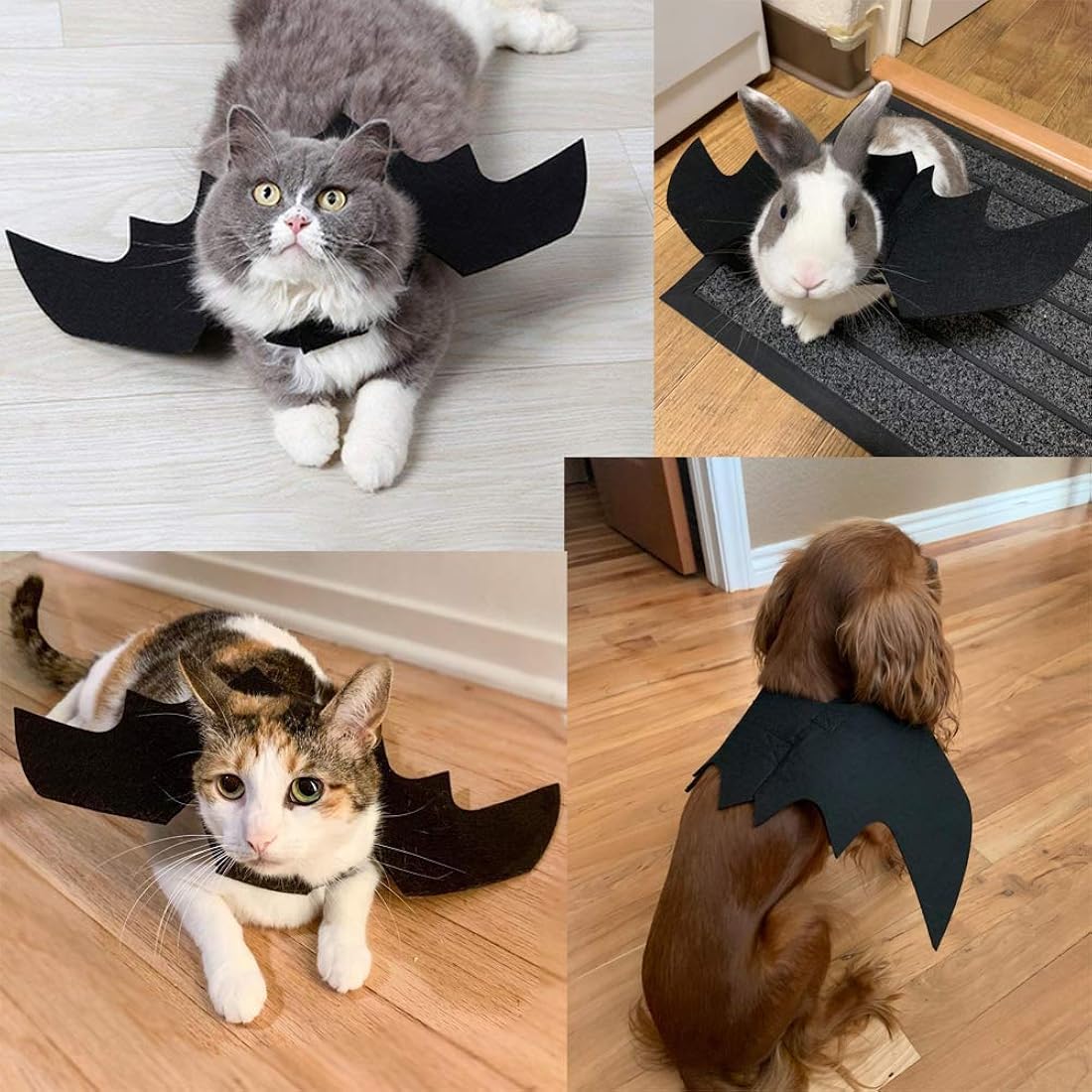 Disfraces de gato de Halloween con alas talla única