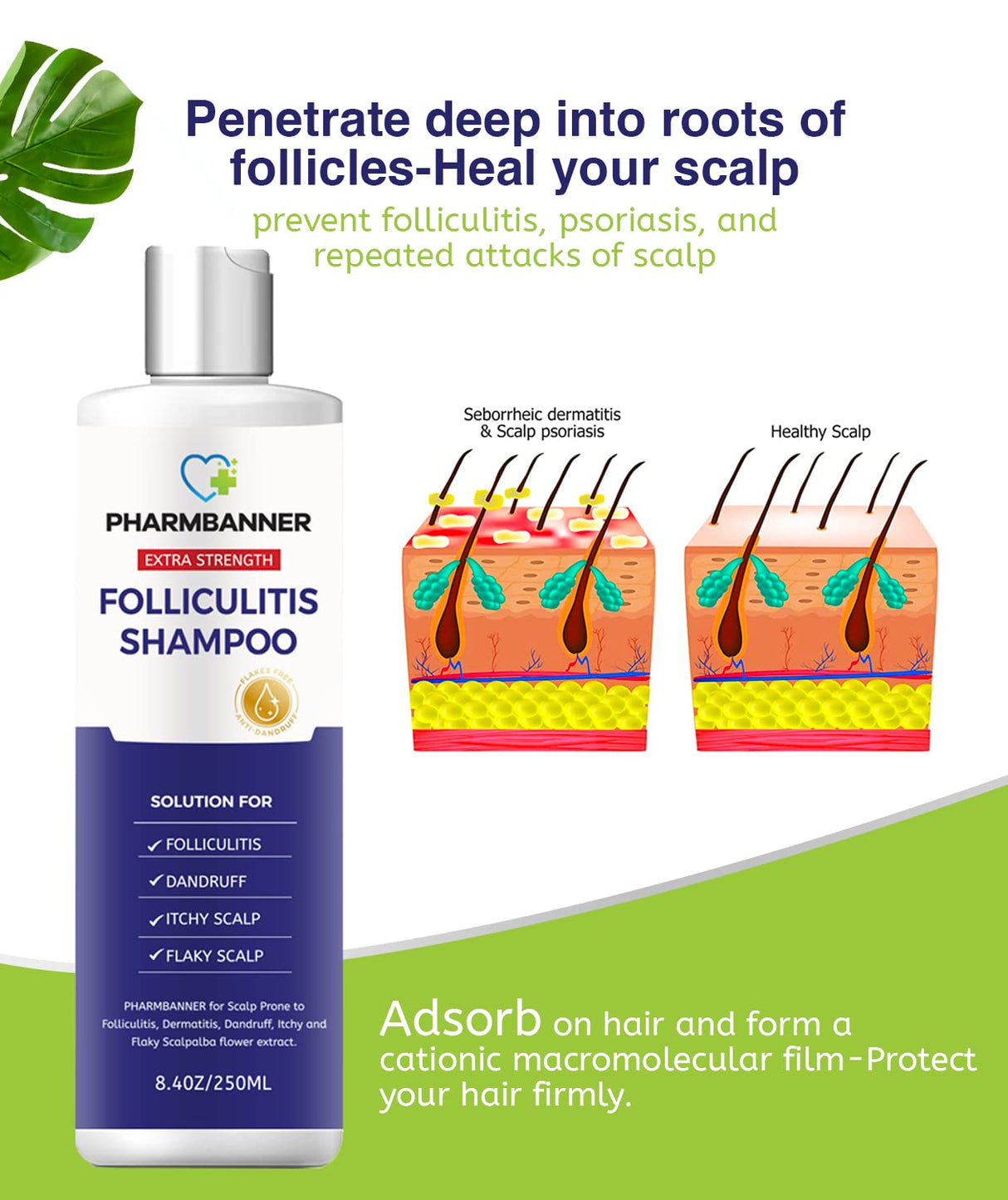 PHARMBANNER Foliculitis champú para dermatitis seborreica
