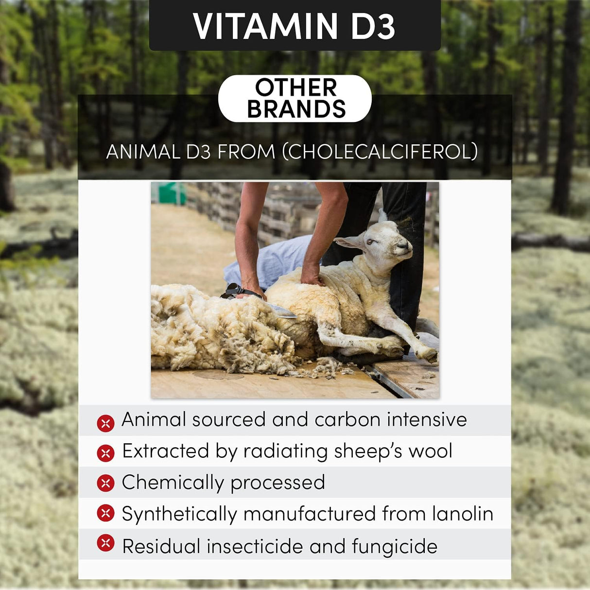 Suplementos Alimenticios inmunidad salud del corazón