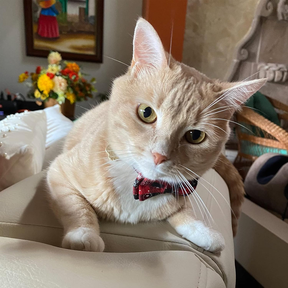 Disfraces Juego de 2 collares de gato de Navidad talla única