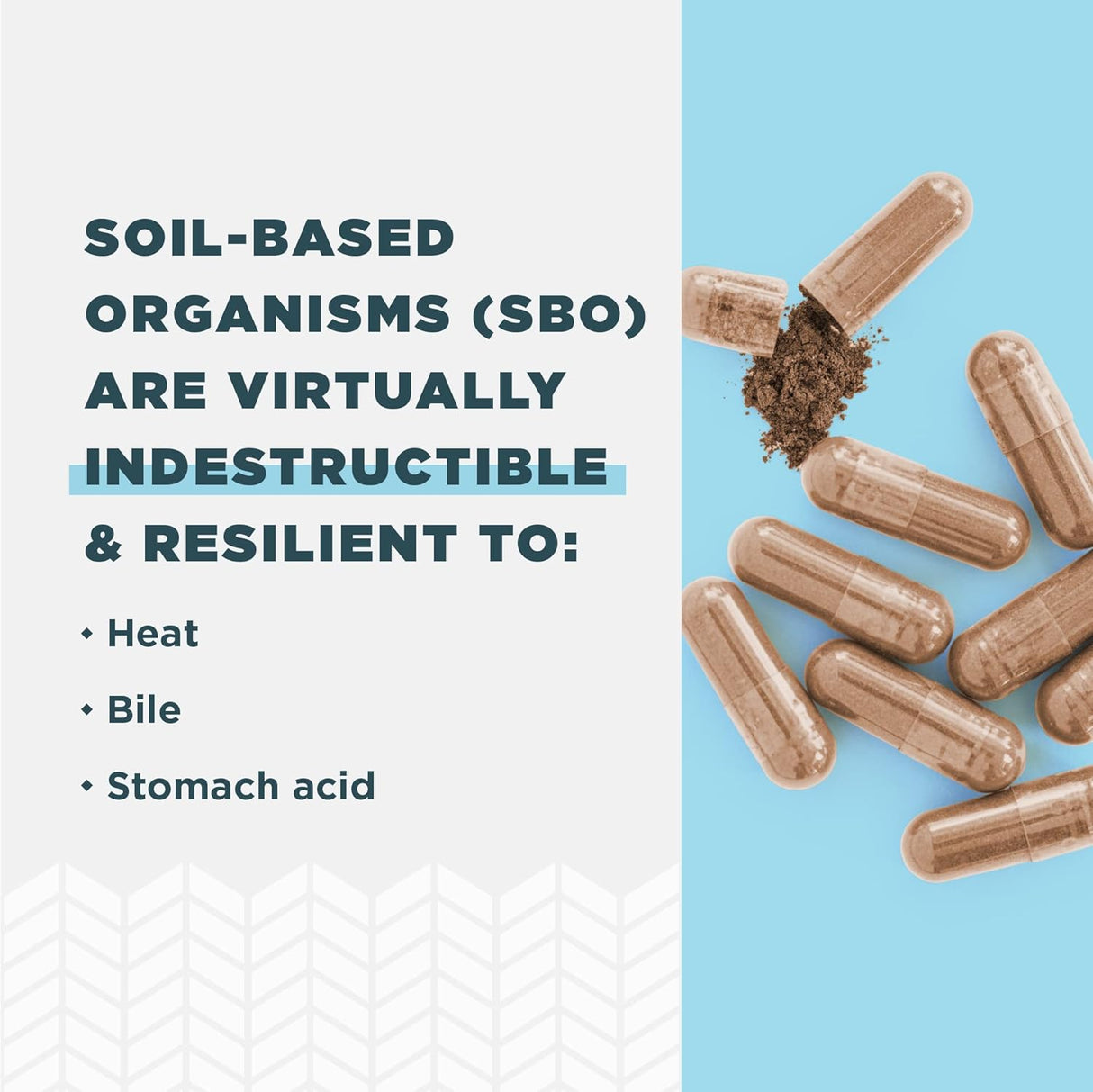 Probióticos SBO Ultimate, 50 mil millones CFU, 60 cápsulas