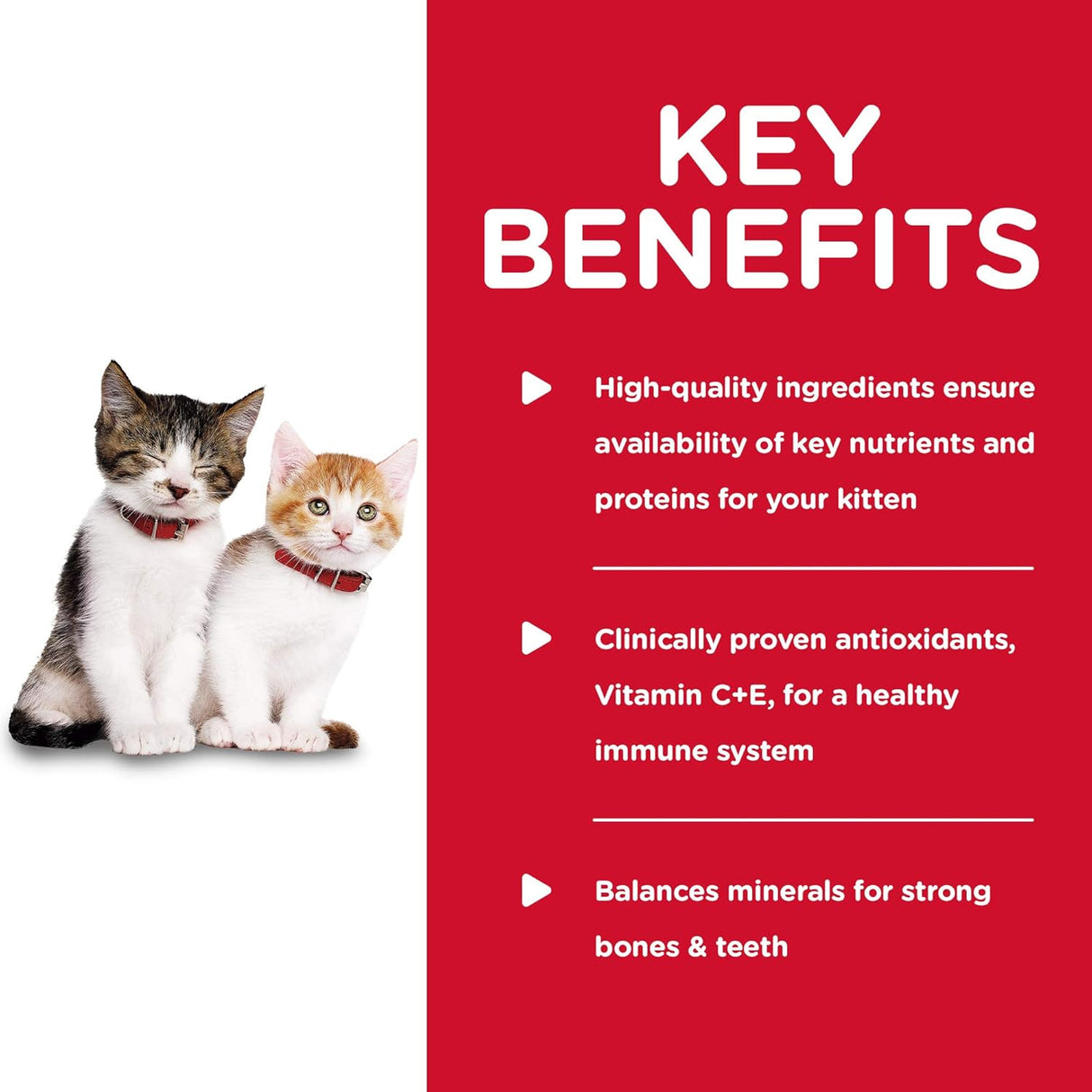 Alimento enlatado y picado para gatito, paquete de 24