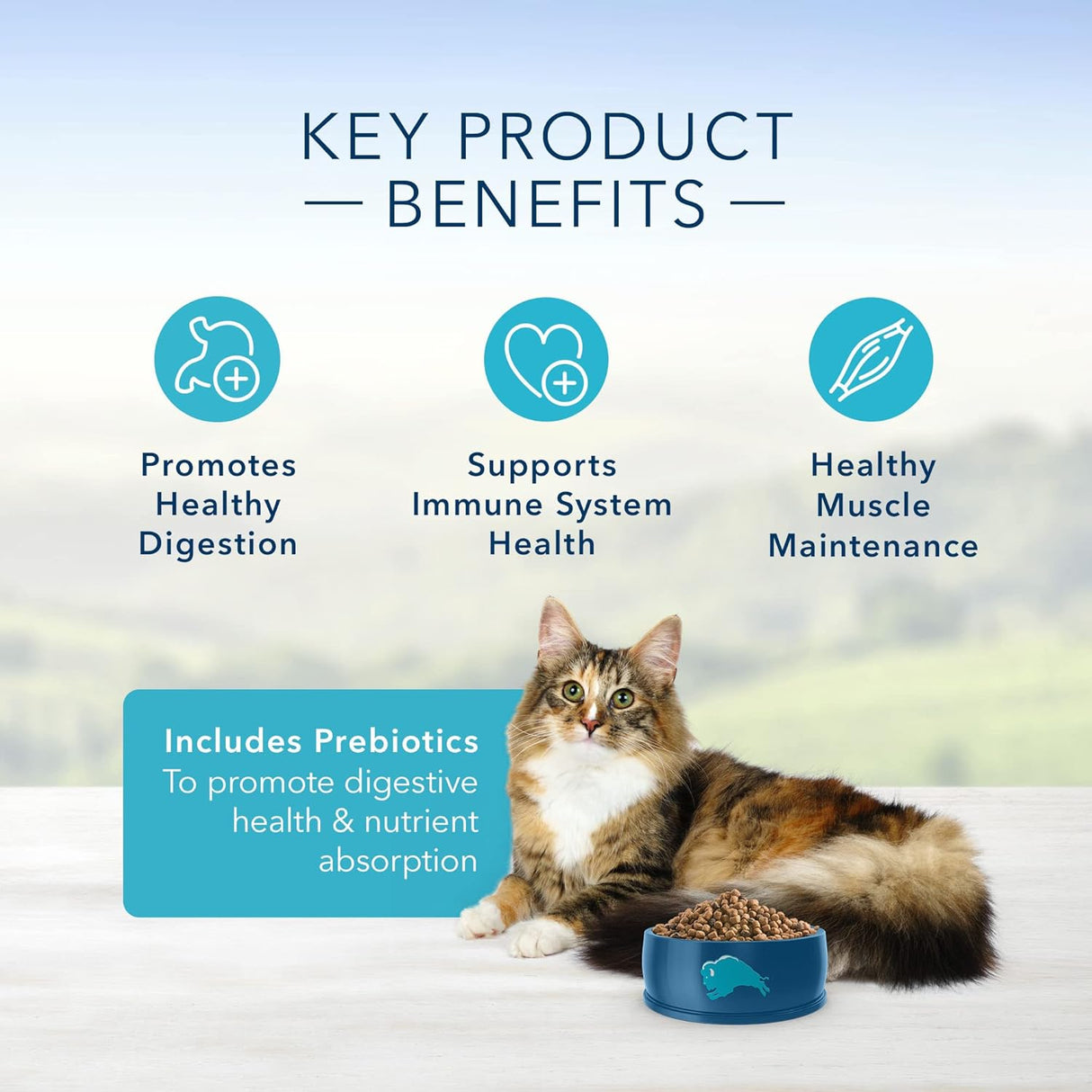 Alimento para gatos pollo y arroz integral de 7 libras