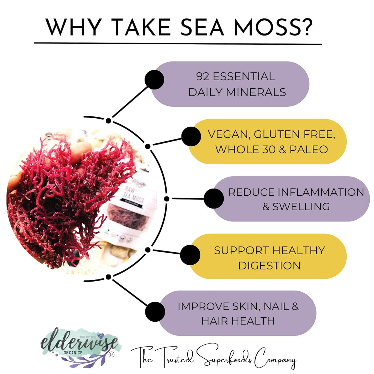 Alga Marina Sundried WILDCRAFTED Gel 24oz Raw + Non GMO