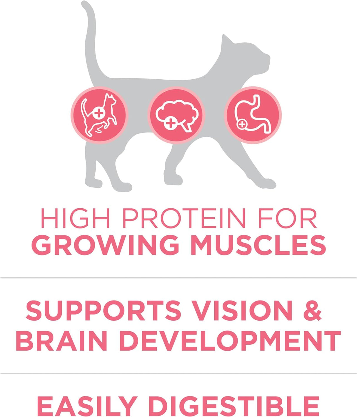 Alimento seco natural para gatitos fórmula saludable