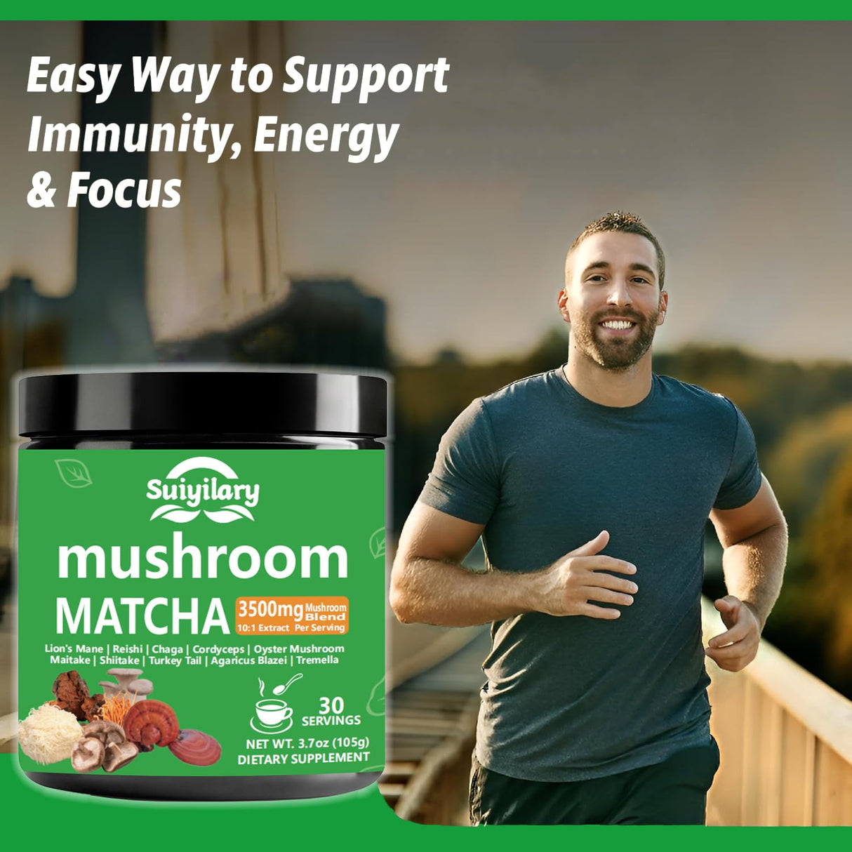 Polvo de Matcha con Hongos, 3500mg, 30 Porciones, 10:1