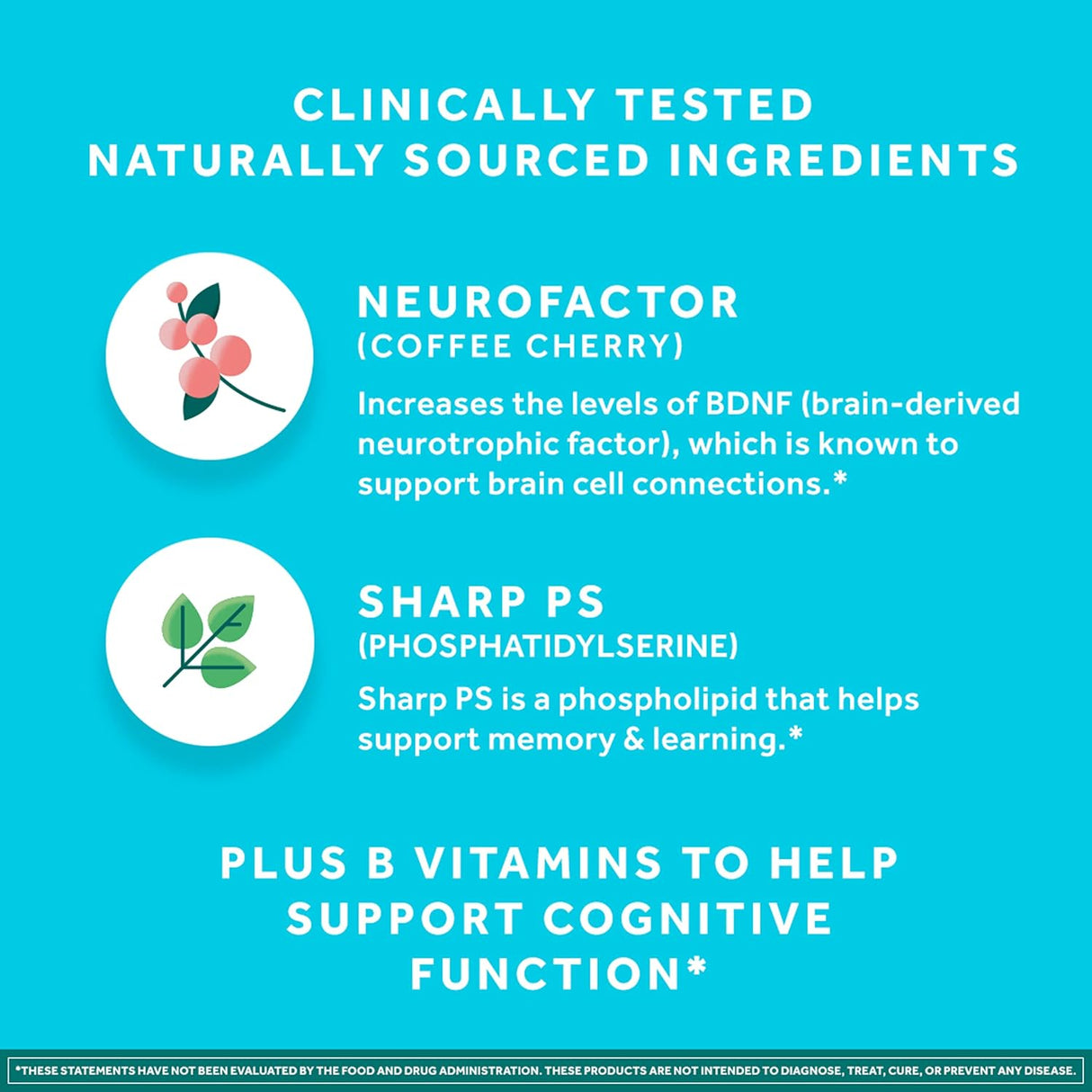 Suplementos Alimenticios de apoyo cerebral cerebral Plus