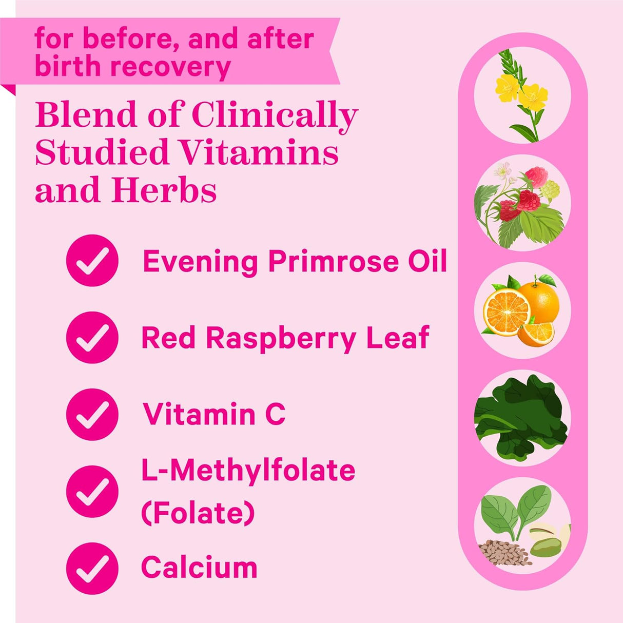 Suplemento de aceite de onagra con té de hoja de frambuesa