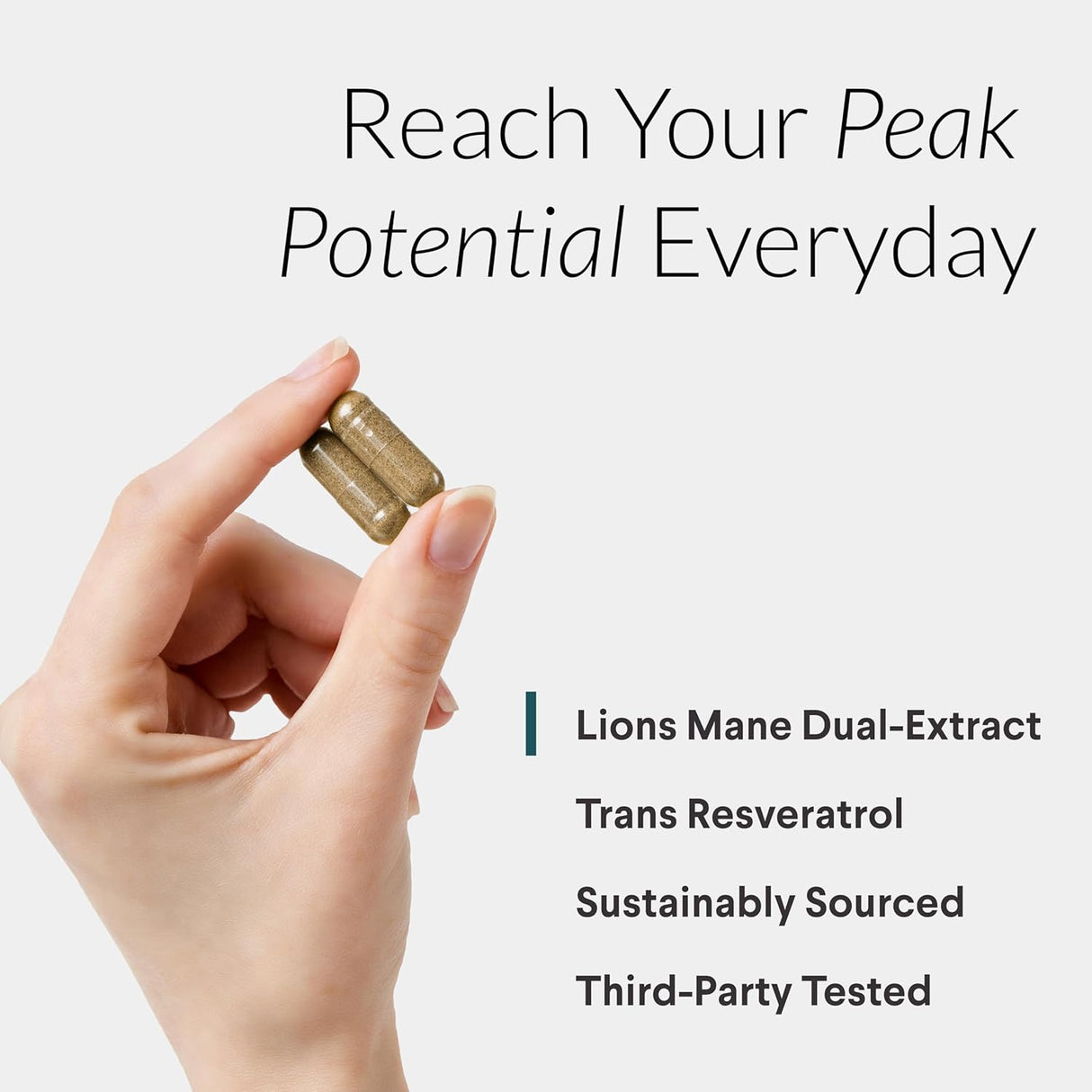 Suplemento resveratrol, 800 mg de extracto de melena de león