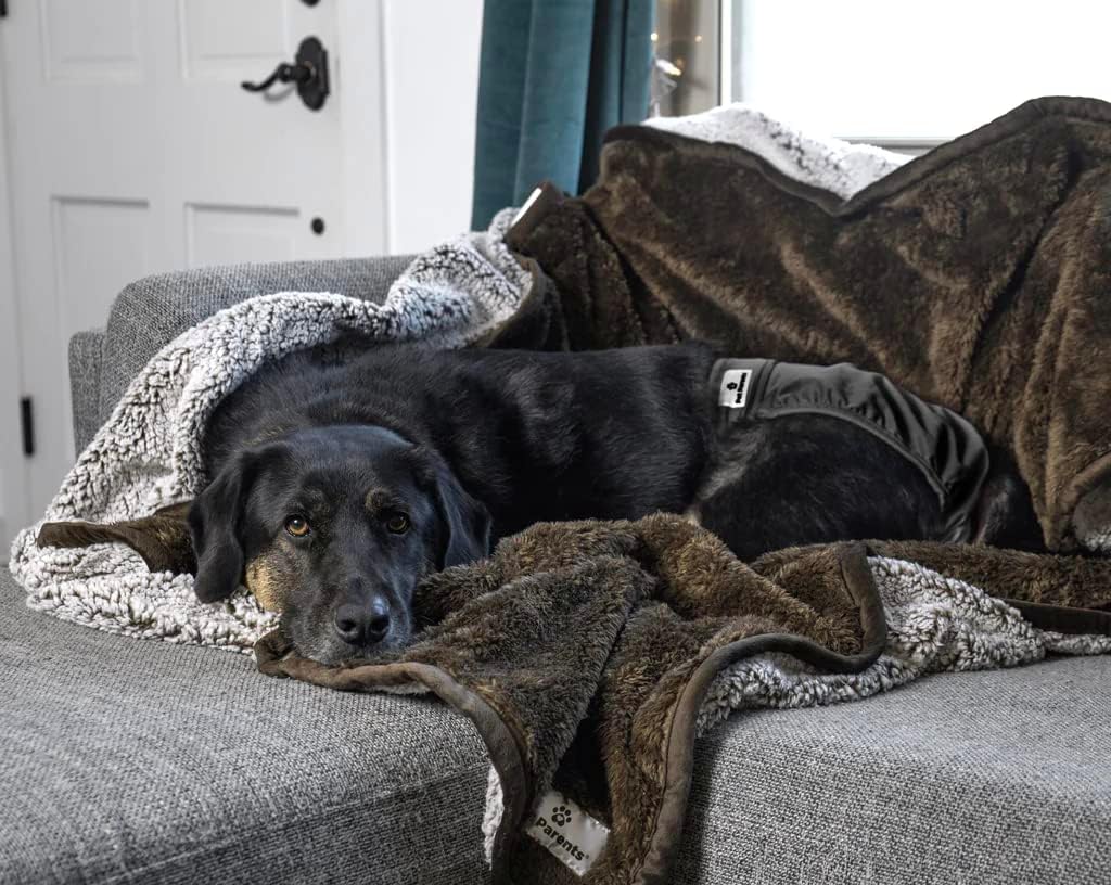 Pet Parents - Pañales lavables perros pañales duradero