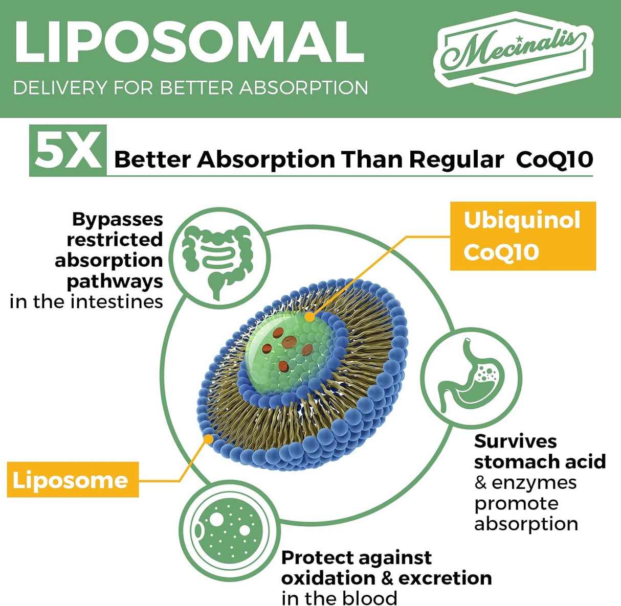 Liposomal CoQ10 1000mg Vegan Antioxidant 120 Softgels