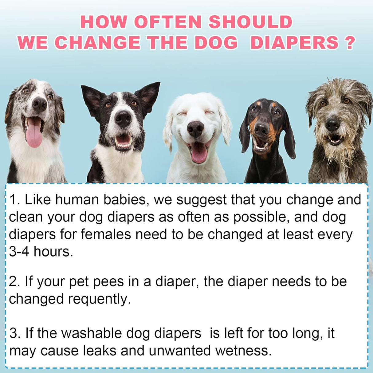 XPCARE Paquete de 6 pañales lavables para perras (S)