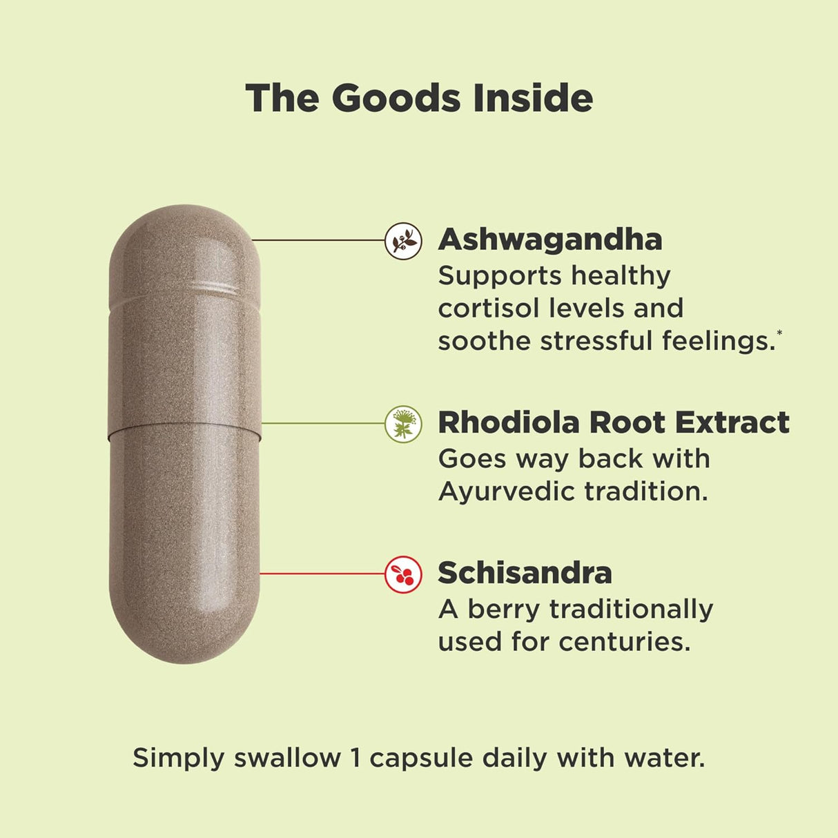 OLLY Adaptógeno Chill, Ashwagandha suplemento de apoyo 30un