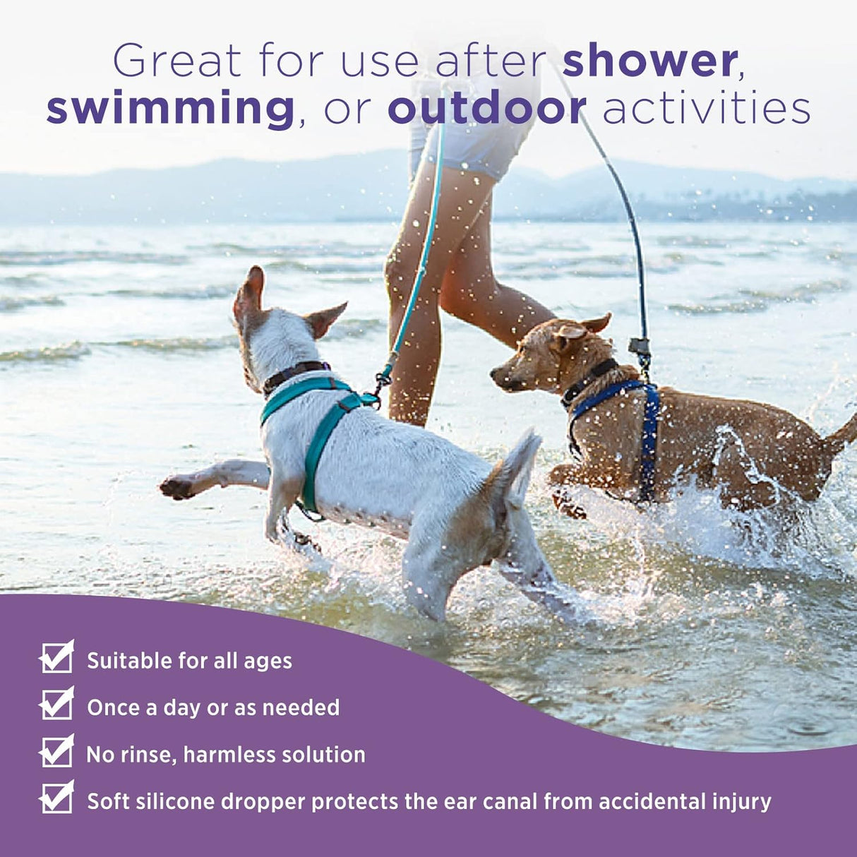 Limpiador de Oídos para Perros HICC PET, 4 fl oz, 30 hisopos