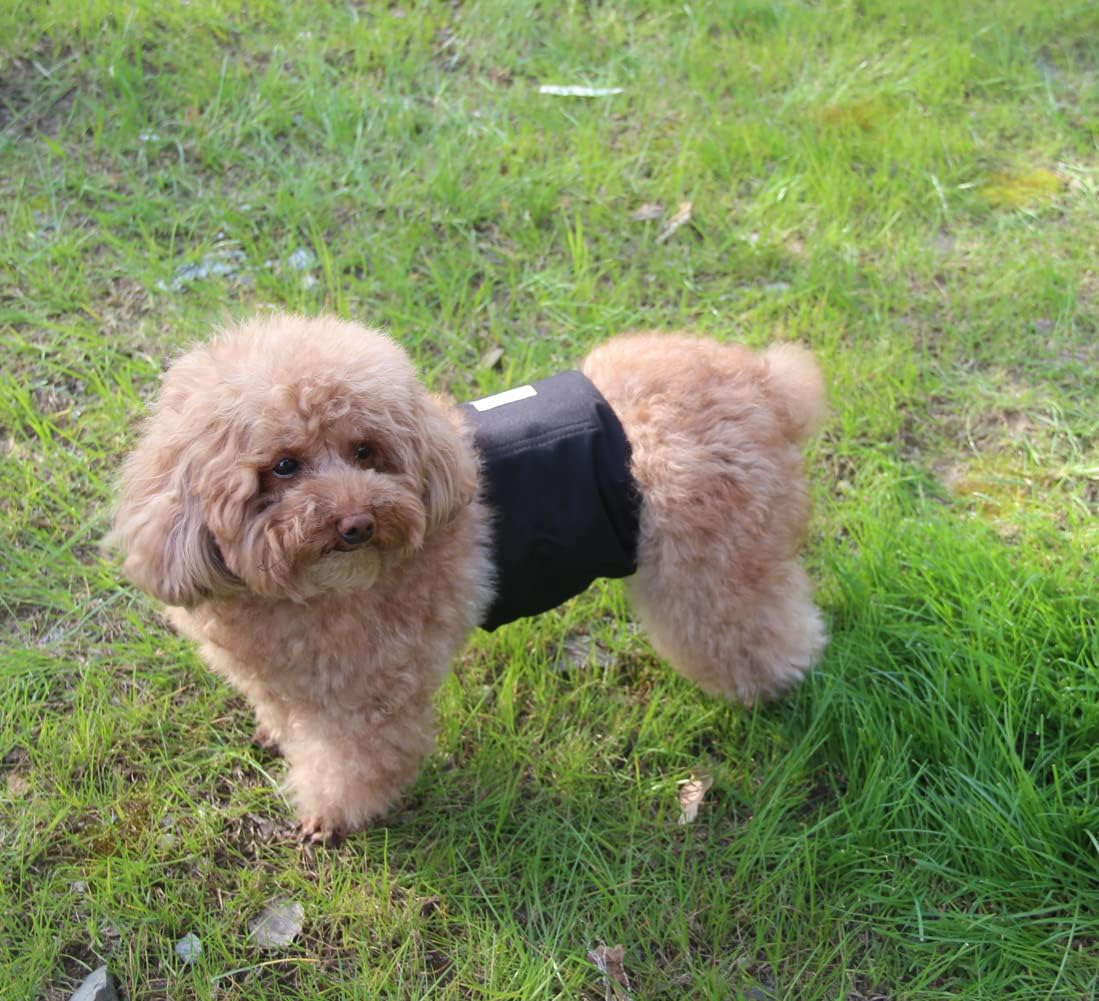 Vecomfy Bandas para el vientre para perros machos (paquete de 5)