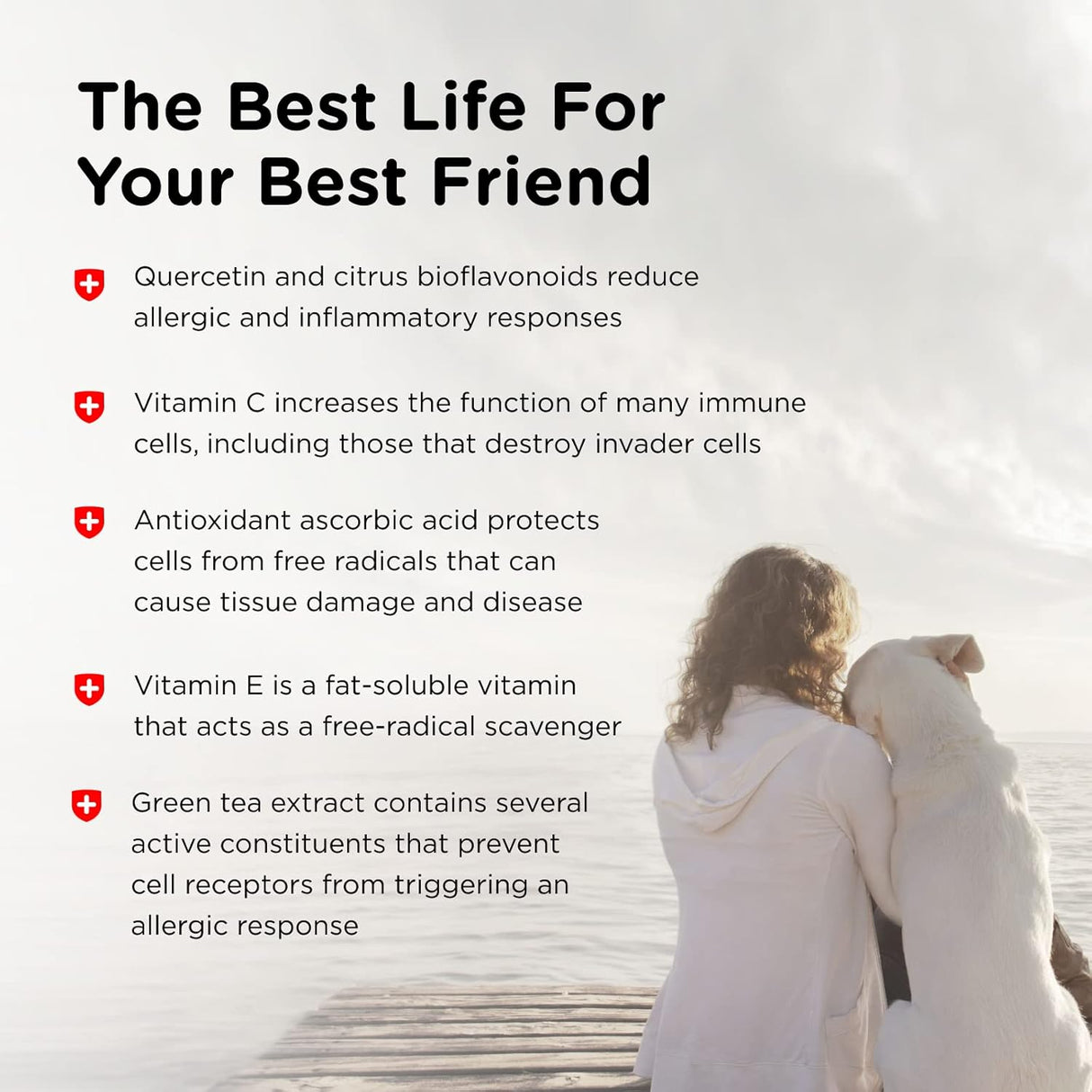 Vitaminas Antioxidantes formulados y ácidos omega 3