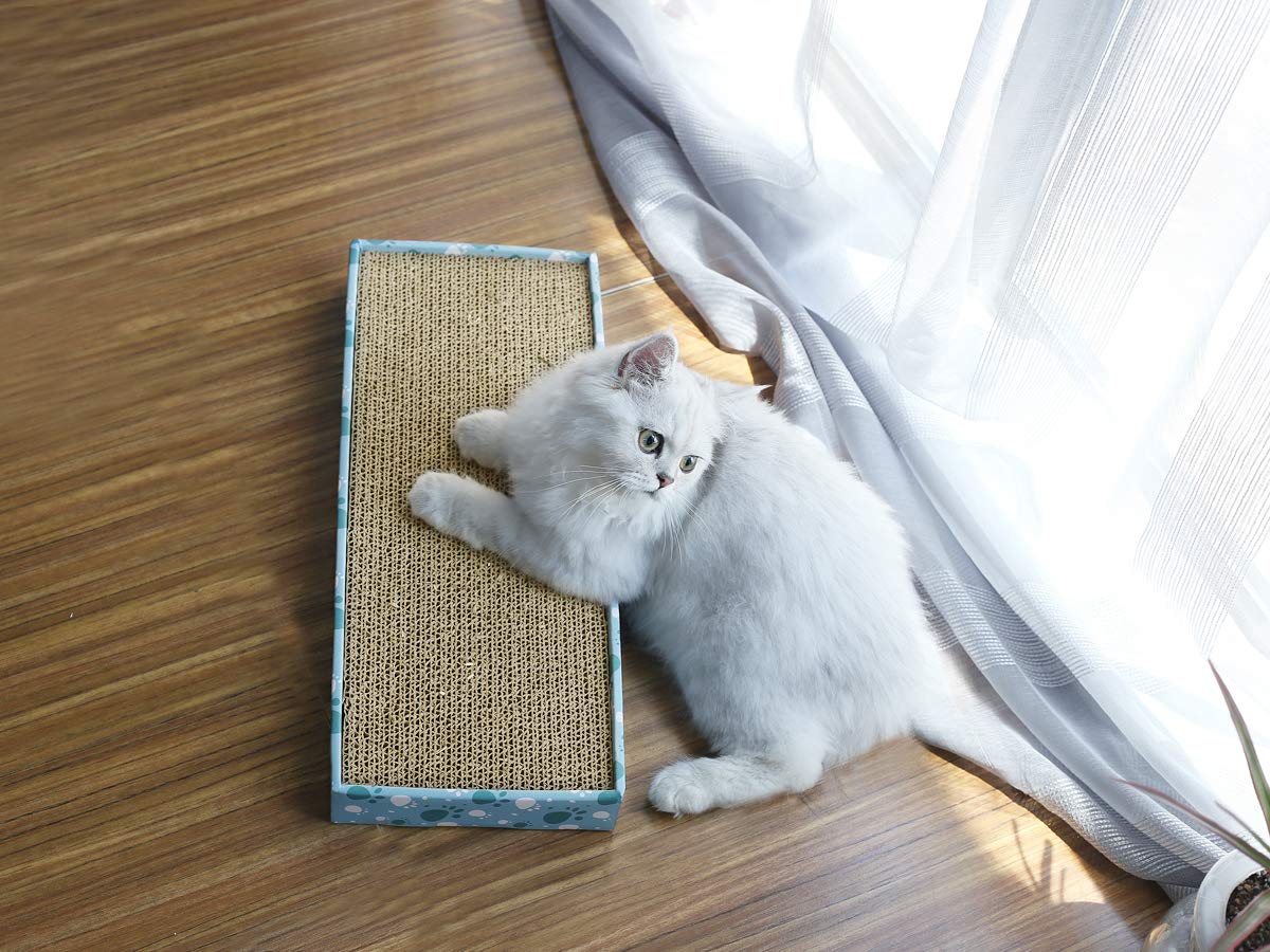 Vivaglory Reversible Cat Scratcher Cartón con caja