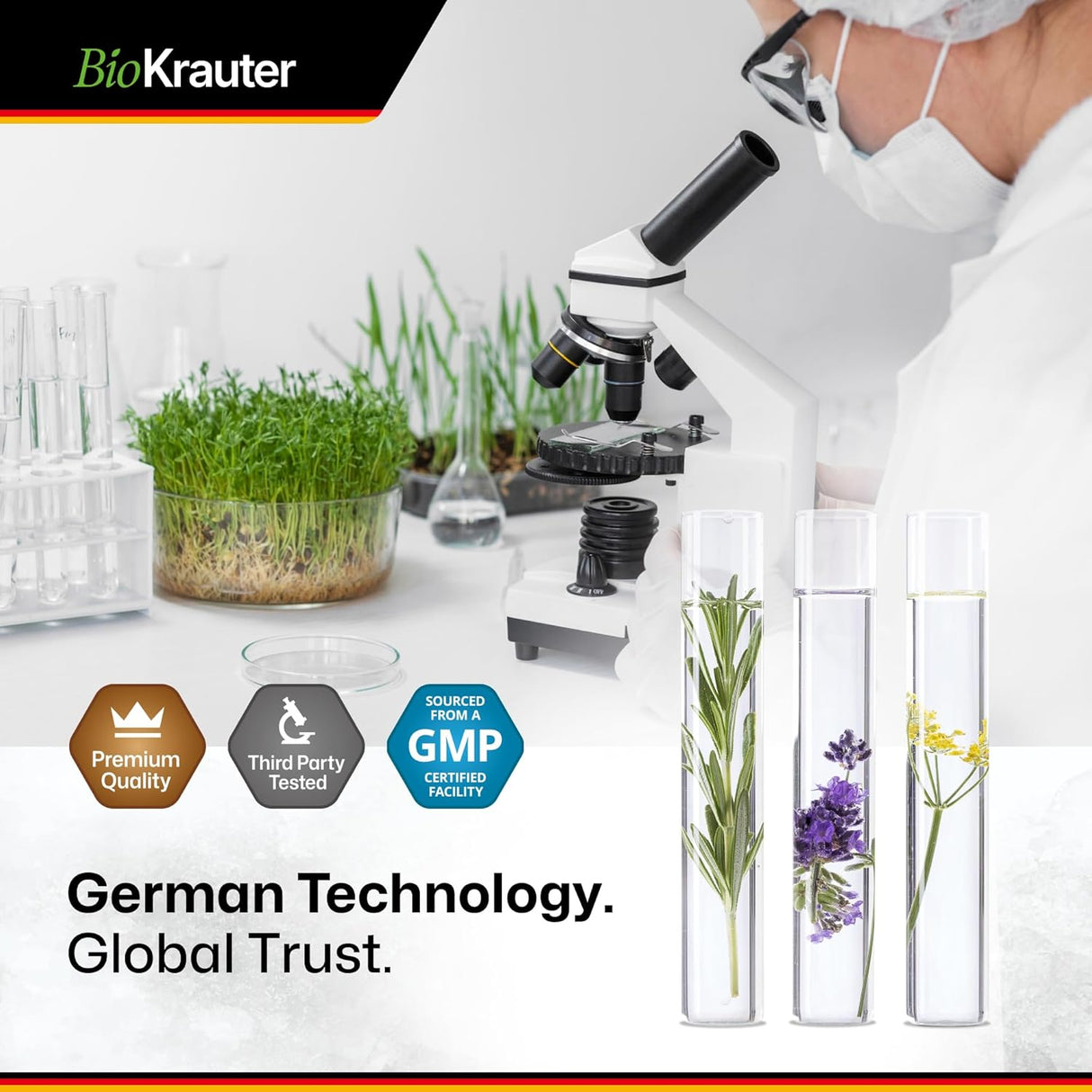 Suplemento de raíz Goldenseal orgánicas de sello de oro 100u