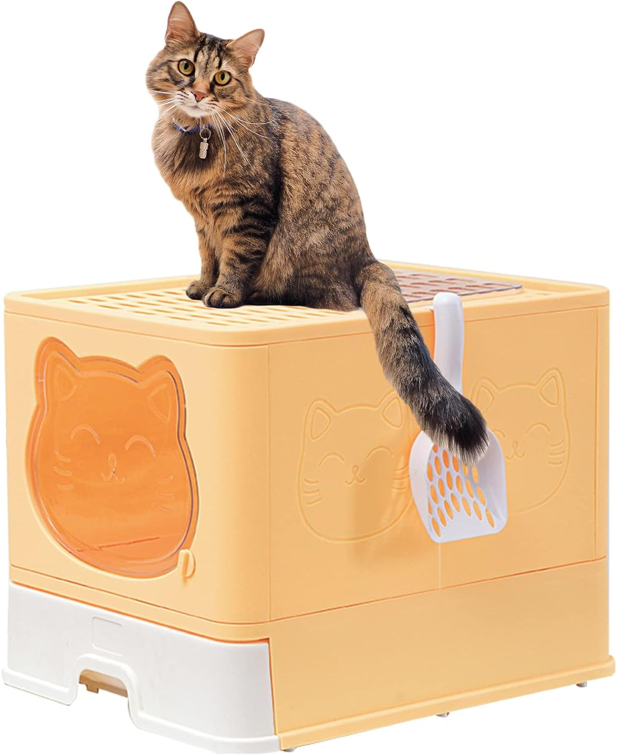 caja de arena plegable antisalpicaduras para gatos TownTime