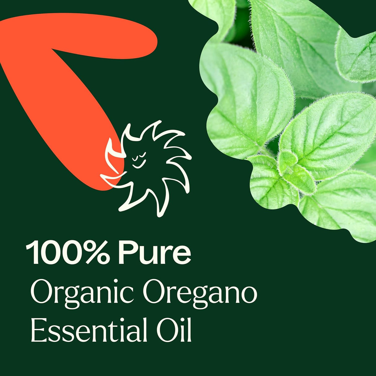 Aceite Esencial de Orégano Orgánico 100% Puro, Grado Terapéutico