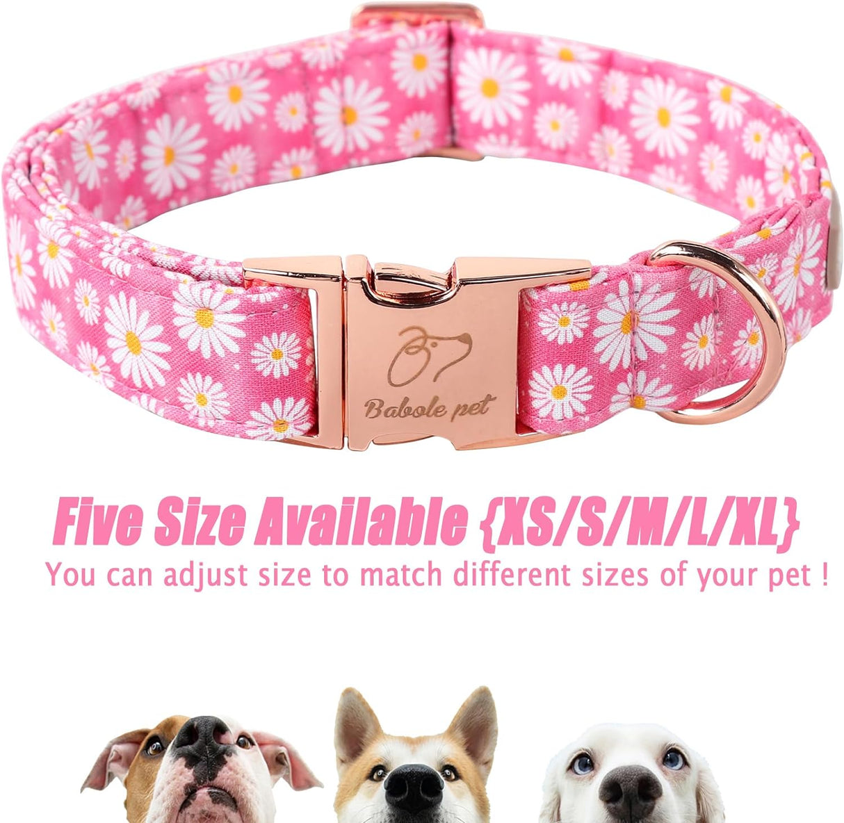 Collar de perro con hebilla metálica de seguridad ajustable