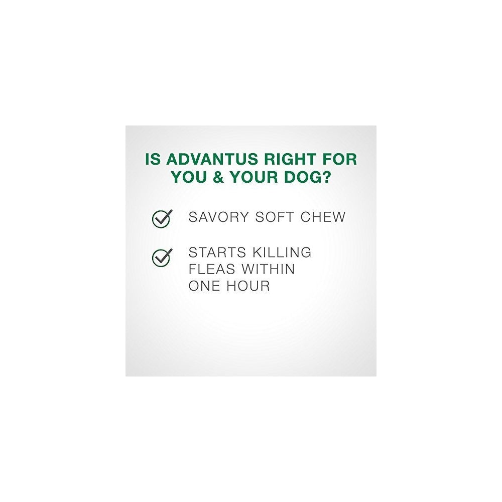 Antipulgas, Pulgas masticables para perros, Tratamiento