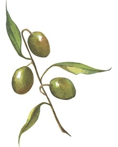 Aceite De Oliva Para El Cuerpo - 8oz -100% Puro Y Natural