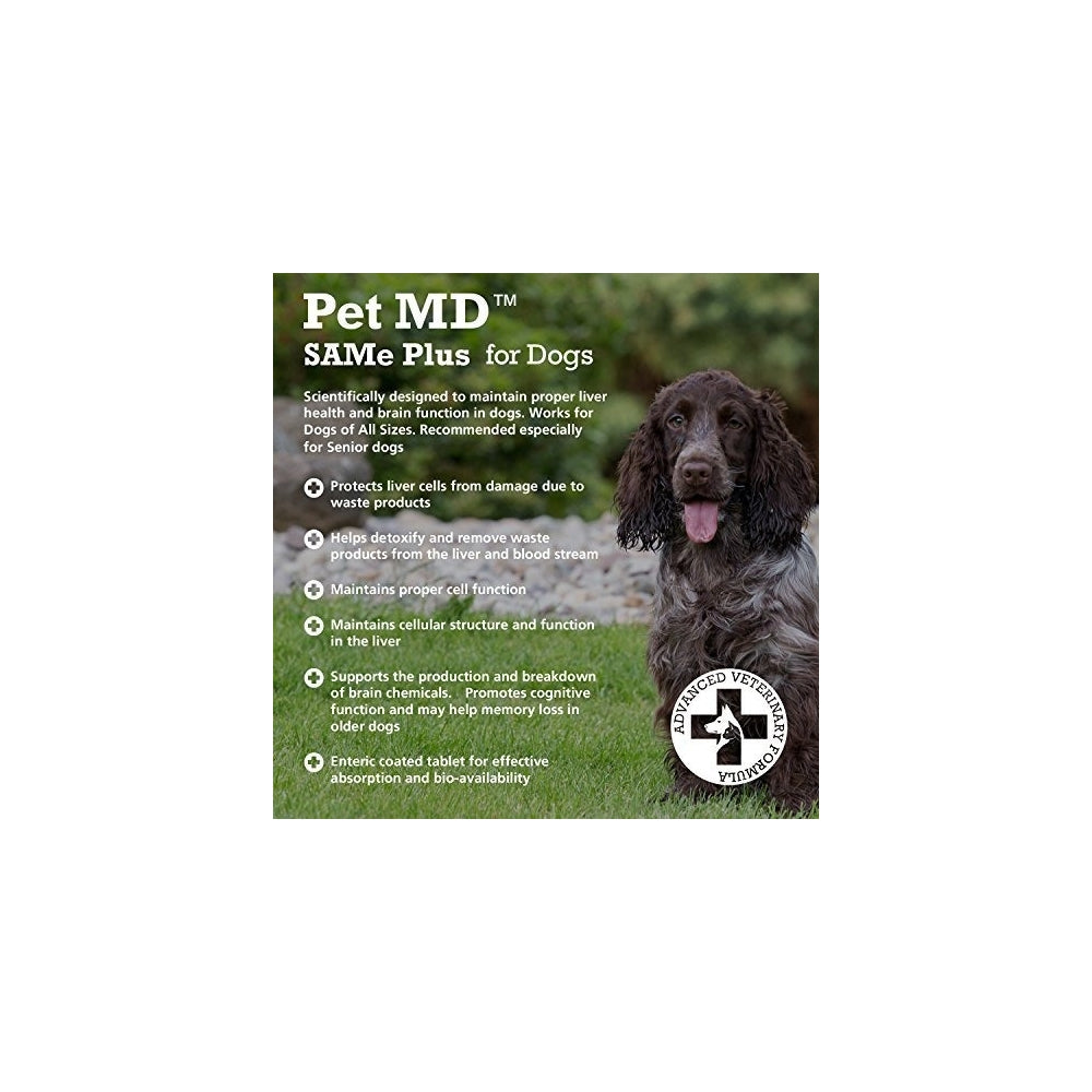 Suplementos para perros y gatos Same Plus S-adenosyl