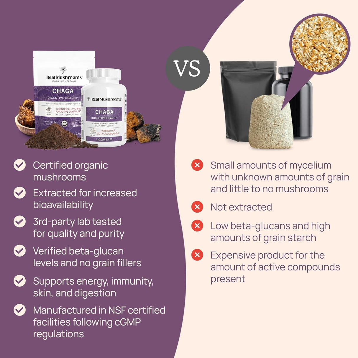 Polvo orgánico de champiñones Chaga para la salud digestiva e inmunológica