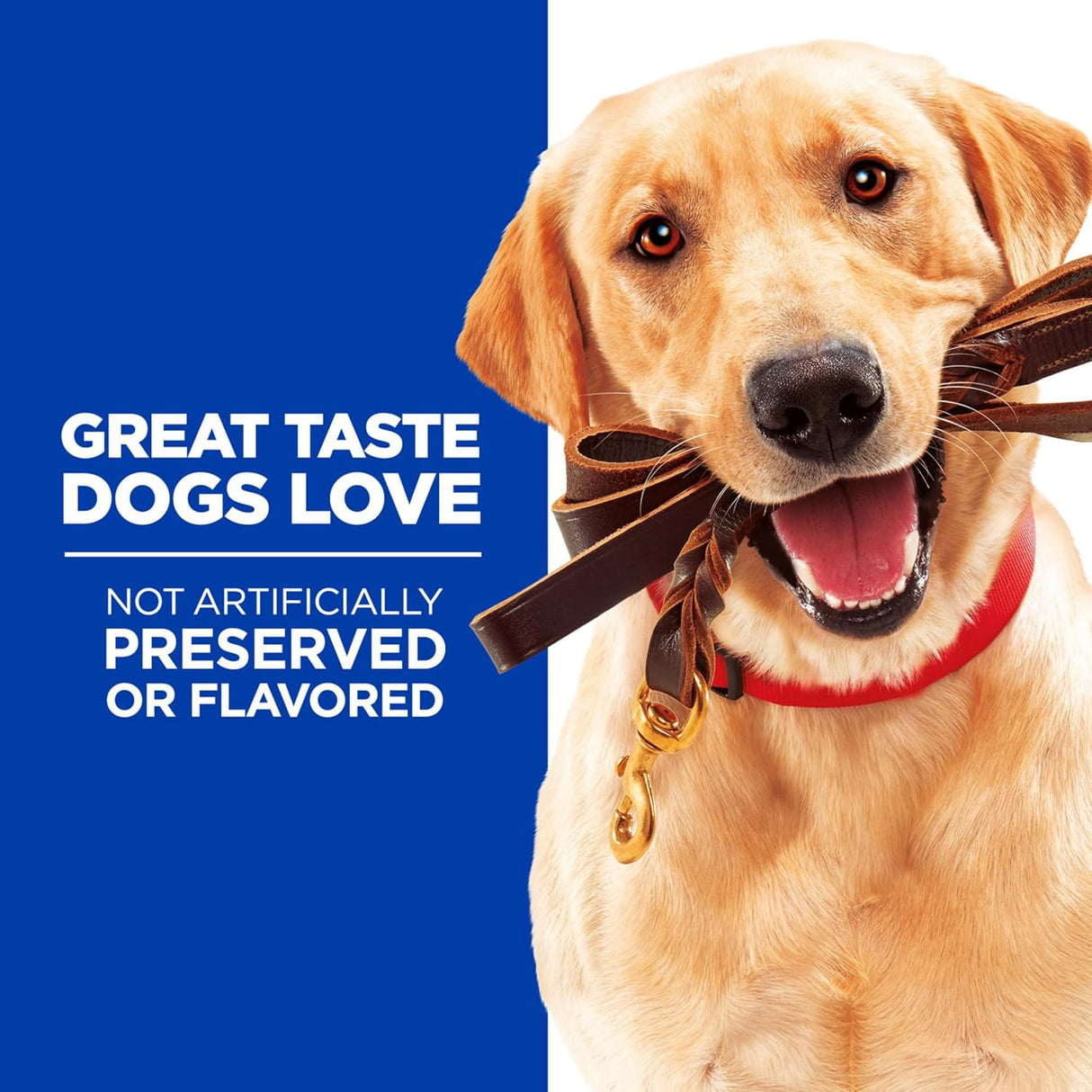 Golosinas Suaves Hill's Natural para Perros, 3 oz, Todas las Etapas