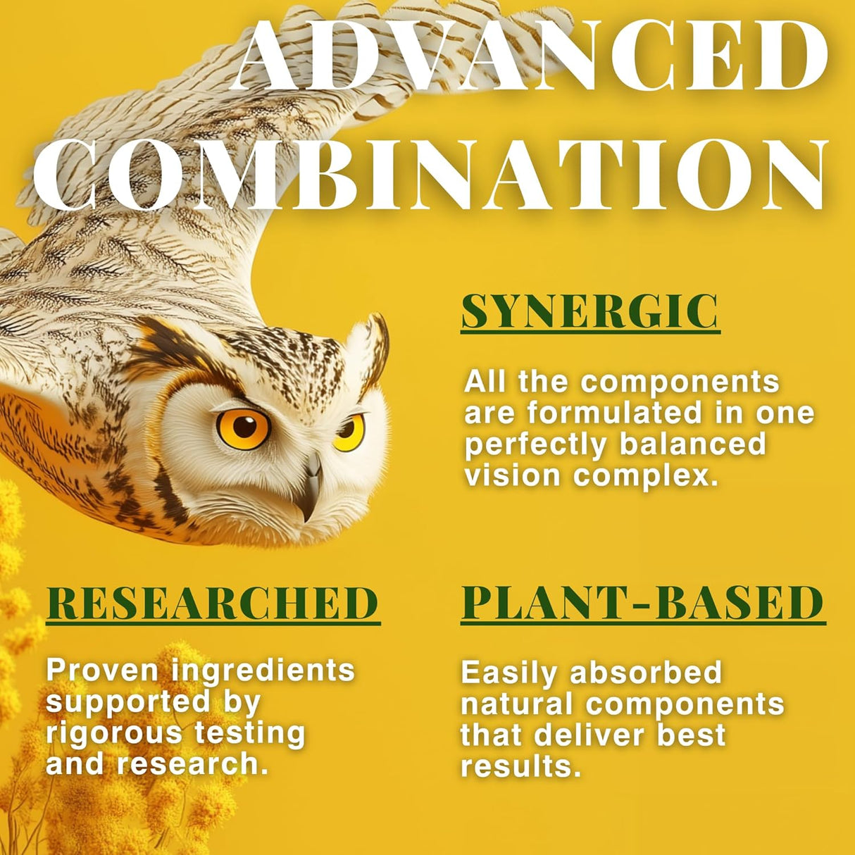 Suplemento de vitaminas para la vista Macular Support, luteína 400mg
