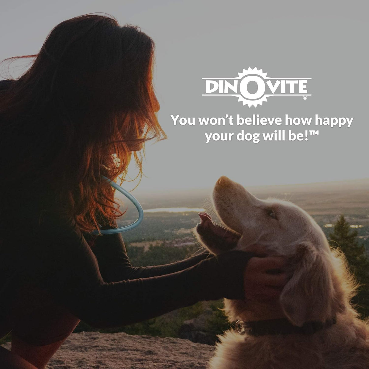 Vitaminas Suplemento probiótico para perros