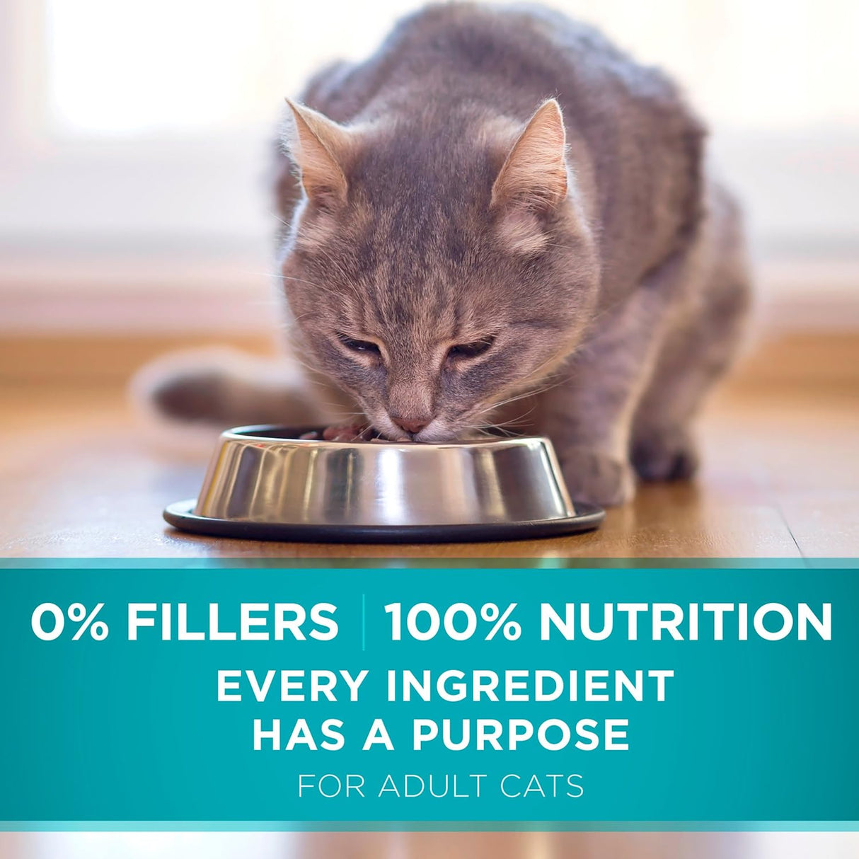 Purina ONE Alimento seco natural para gatos, mezcla con pollo real, bolsa de 22 libras