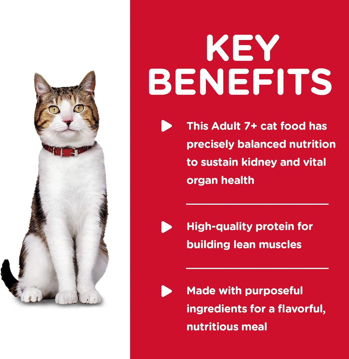 Alimento húmedo para gatos trozos y salsa de pollo tierno