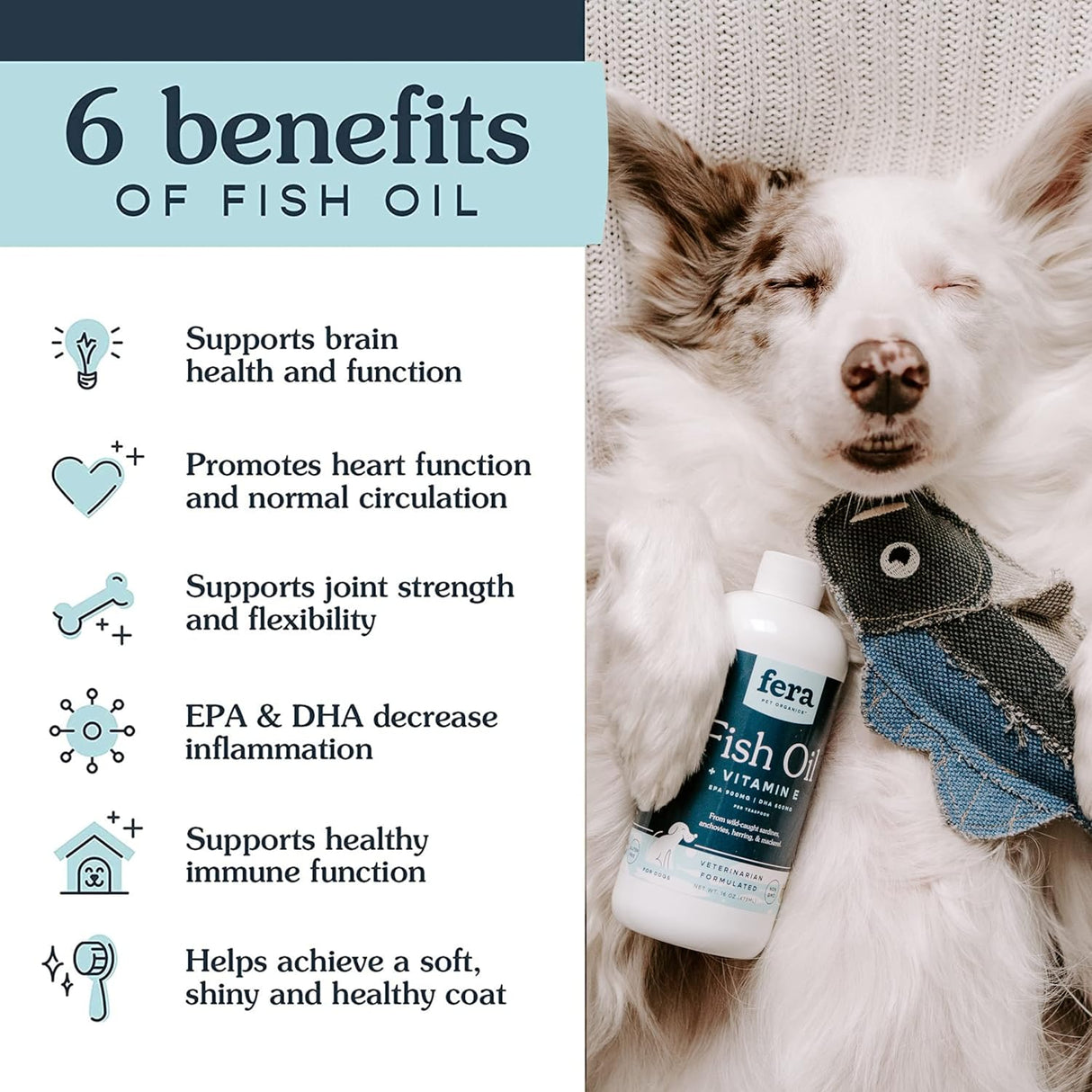 Fera Pets - Aceite de pescado para perros y gatos, 16 onzas, 96 porciones, aceite de pescado líquido con pescado capturado en la naturaleza para mantener la piel, el sistema inmunológico y la función
