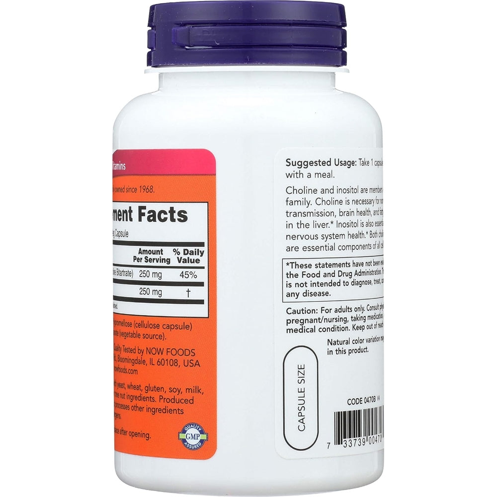 Suplemento Colina e inositol 500 mg - 100 cápsulas