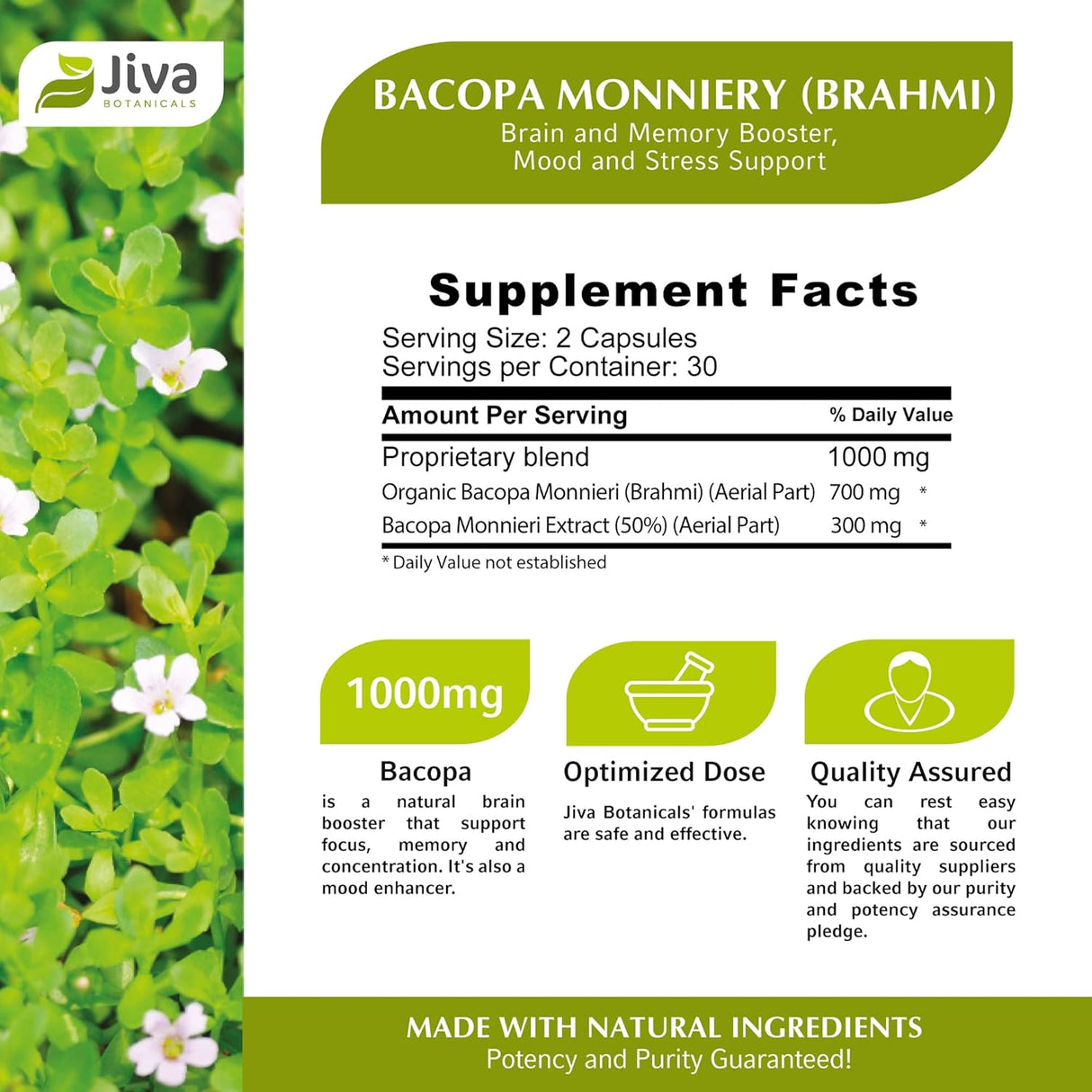 Suplemento Cápsulas de Bacopa Monnieri/Brahmi 300 mg