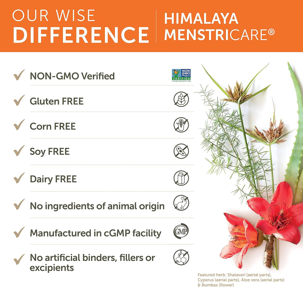 Himalaya MenstriCare para el síndrome premenstrual 120 und