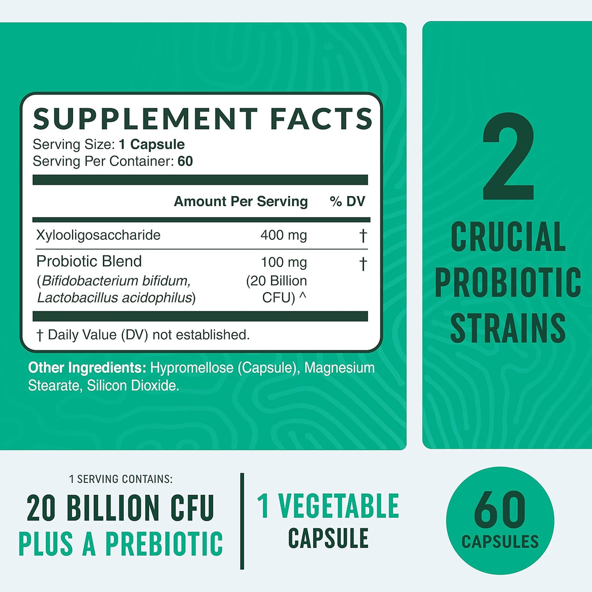 Cápsulas probióticas y prebióticas | Pre y Pro Biotics para la salud intestinal sinbiótica y alivio de la hinchazón para mujeres y hombres | Enzimas con probióticos para la salud digestiva | 20 mil millones de UFC | Vegetariano | 60 unidades