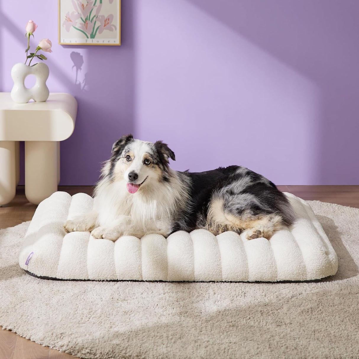 Lesure Cama ortopédica de espuma para perros grandes blanco